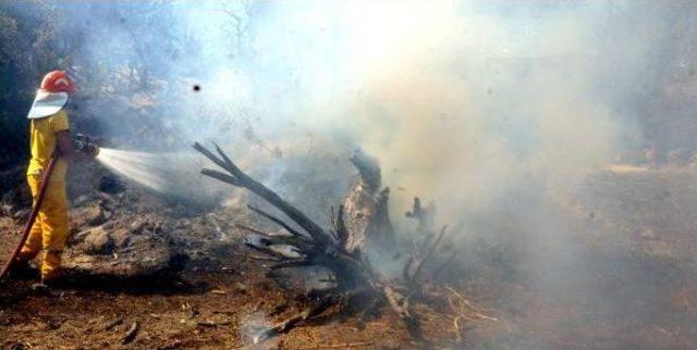 Bodrum'da Korkutan Yangın (2)
