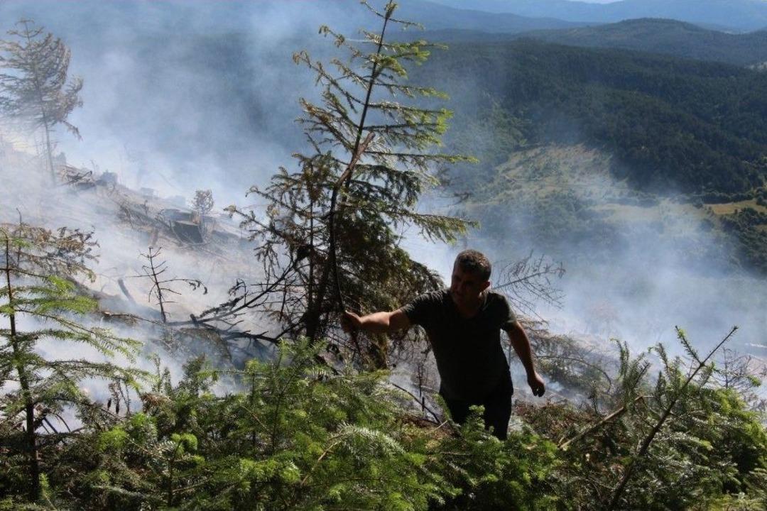 Ormanda &Ccedil;ıkan Yangında 15 D&ouml;n&uuml;ml&uuml;k Alan K&uuml;l Oldu