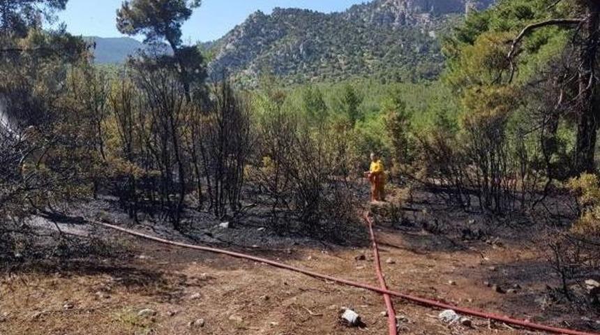 Denizli'de 8 D&ouml;n&uuml;m Ormanlık Alan Yandı