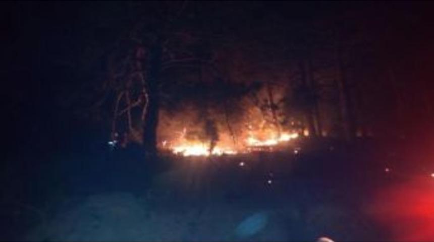 İzmir&rsquo;De Orman Yangını