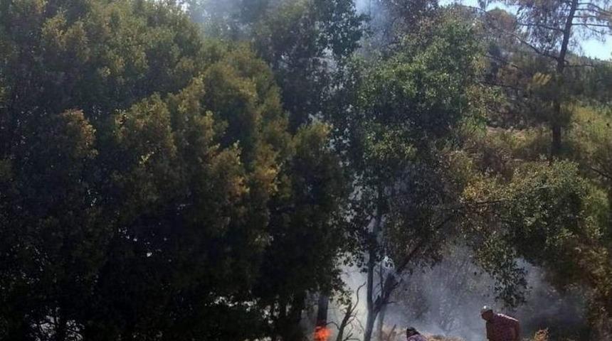 Karpuzlu&rsquo;da 3 D&ouml;n&uuml;m Tarım Arazisi K&uuml;l Oldu