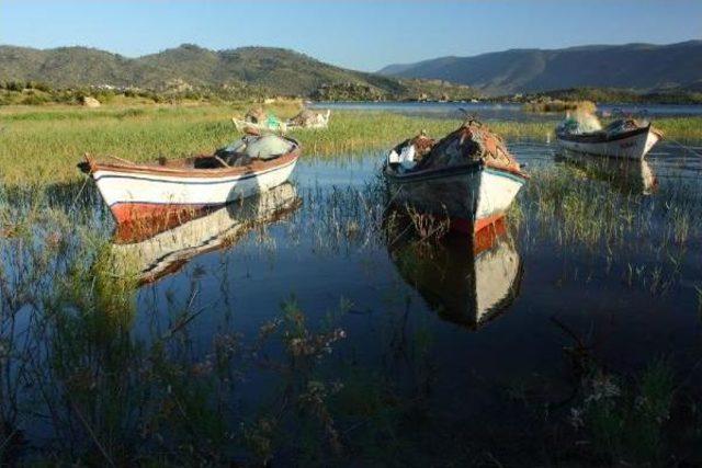 Kızgın Kumların Alternatifi Bafa Gölü