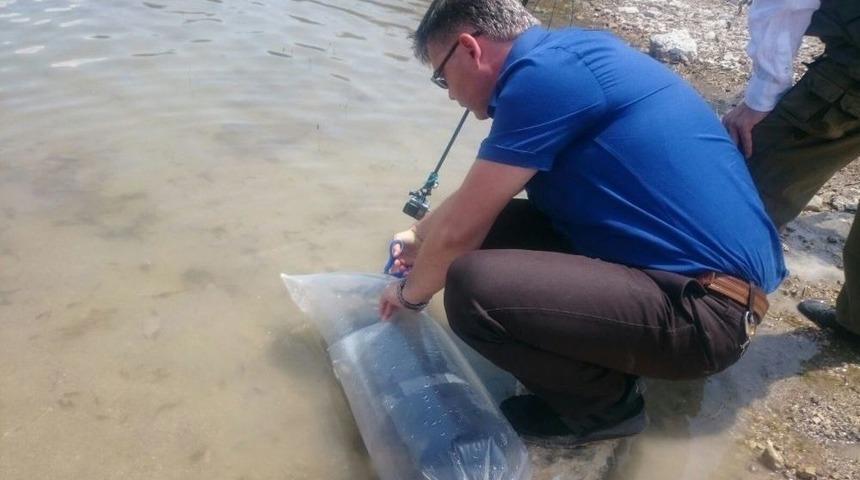 (&ouml;zel Haber) Kayseri&rsquo;de 4 G&ouml;lete 95 Bin Yavru Alabalık Bırakıldı