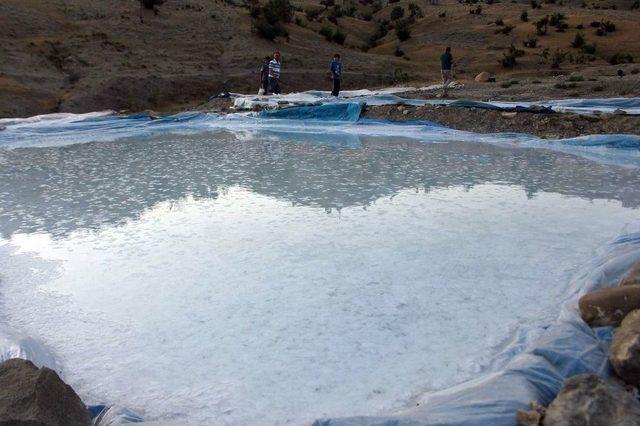 Siirt’te Kaya Tuzu Gençlerin Geçim Kaynağı Oldu