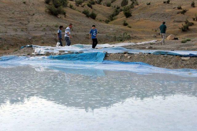 Siirt’te Kaya Tuzu Gençlerin Geçim Kaynağı Oldu