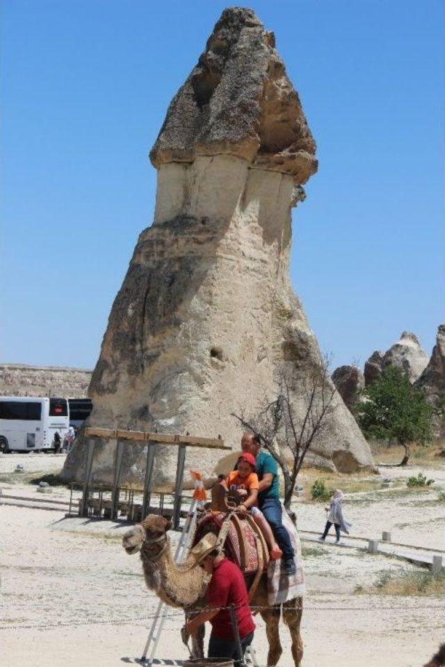 Kapadokya’da Deve Turları Büyük İlgi Görüyor