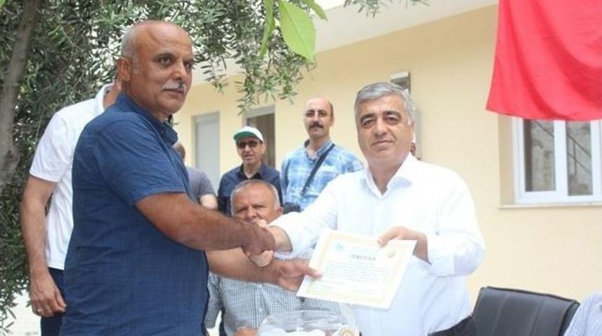 Adana’da 55 Aileye Badem Ormanı