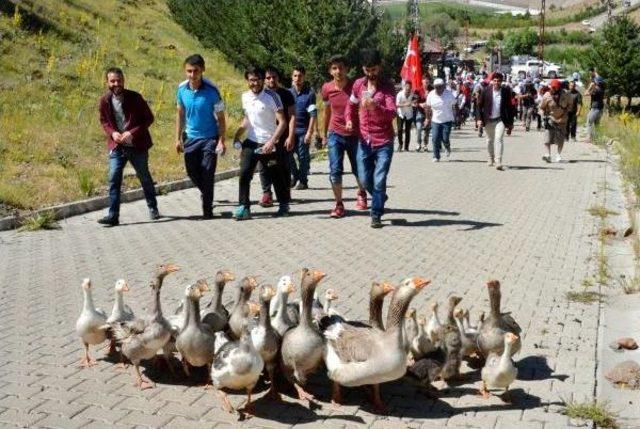 Palandöken Dağlarını Keşif Için Yürüdüler