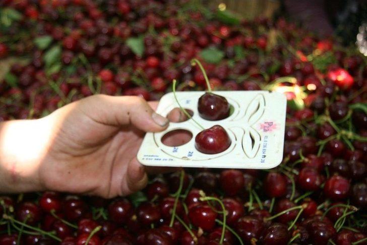 (özel Haber) Dünyaca Ünlü Sultandağı Kirazında Hasat Döneminin Sonuna Yaklaşıldı G2