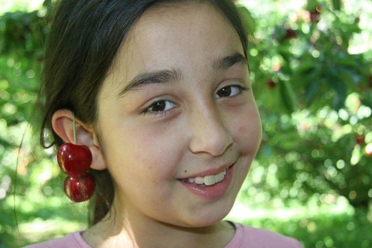 (özel Haber) Dünyaca Ünlü Sultandağı Kirazında Hasat Döneminin Sonuna Yaklaşıldı G4