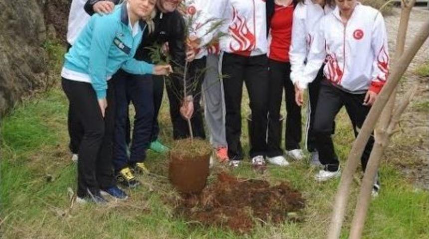 Şampiyon Sporcular Diktikleri Fidanları G&ouml;zleri Gibi Bakıyor