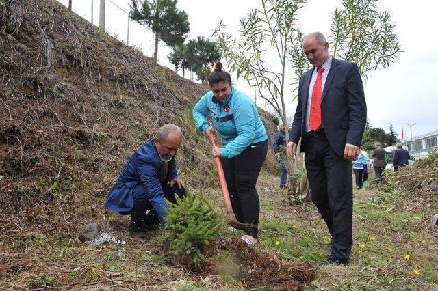 Şampiyon Sporcular Diktikleri Fidanları Gözleri Gibi Bakıyor