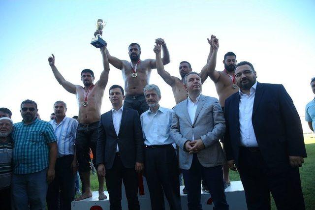 Sincan Yağlı Güreşleri’nde Başpehlivan Ünal Kahraman Oldu 2