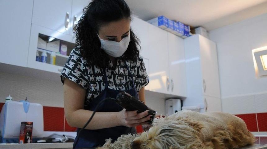 (&ouml;zel Haber) Evcil Hayvan Sahipleri Dikkat