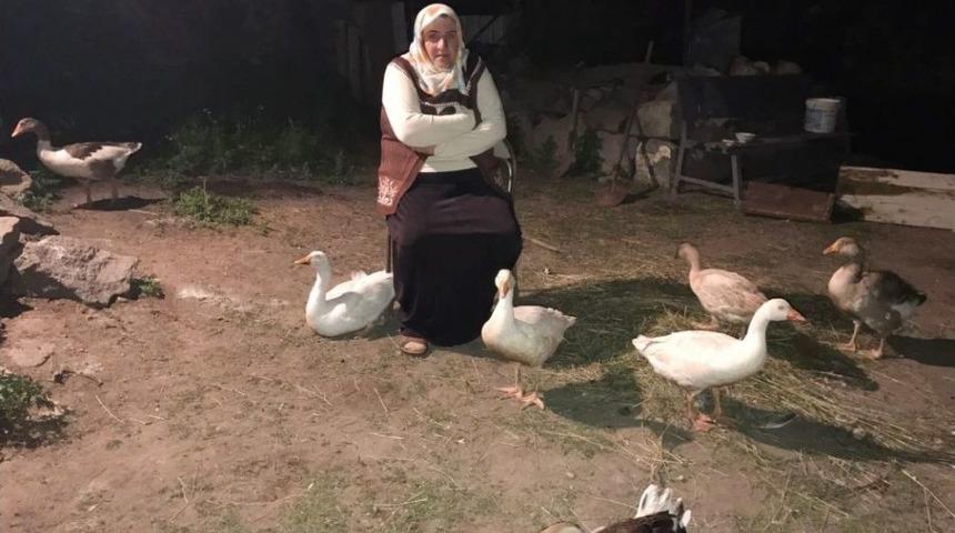 Pazardan Aldığı Kazlar G&ouml;z&uuml;n&uuml;n &Ouml;n&uuml;nde Telef Oldu