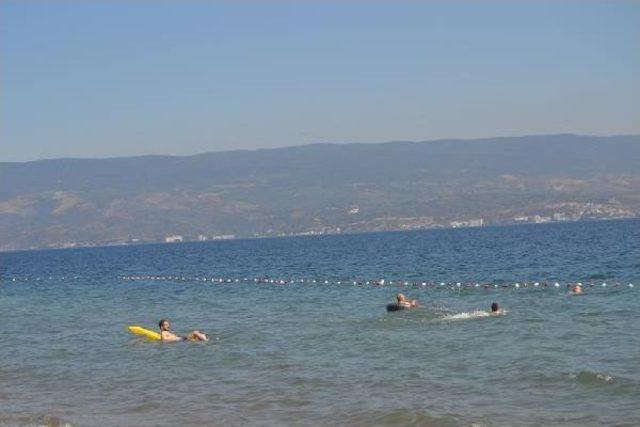 Gemlik Sahilinde Sunta Temizliği