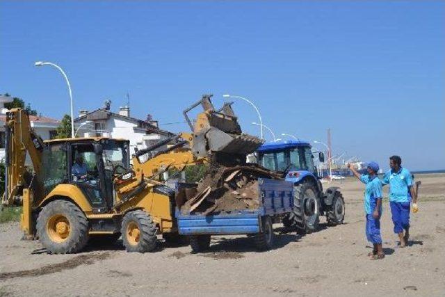 Gemlik Sahilinde Sunta Temizliği