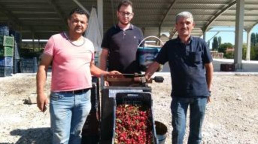 Hisarcık’ta Vişne Alım Fiyatları Yükseldi