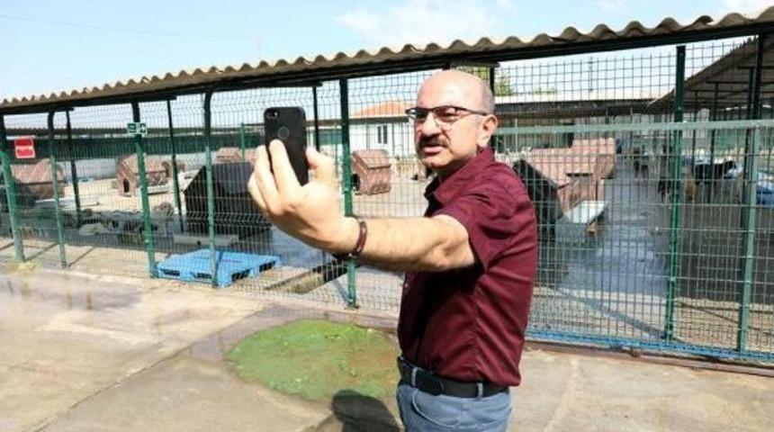 Edirne'deki Hayvan Barınağından Canlı Yayın