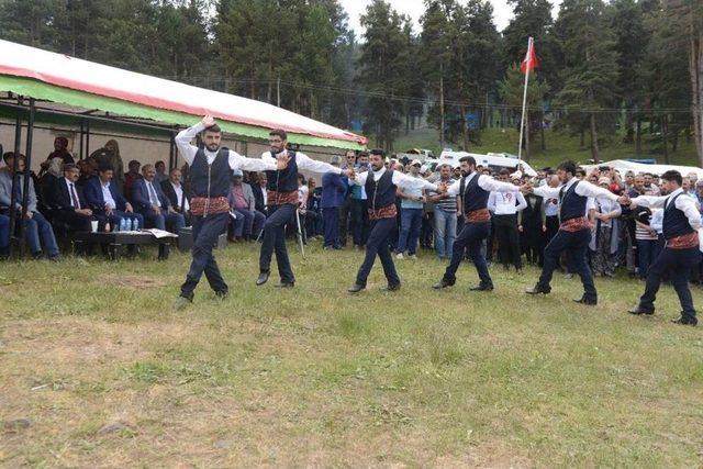 Uluslararası Göle Kültür Ve Kaşar Festivali