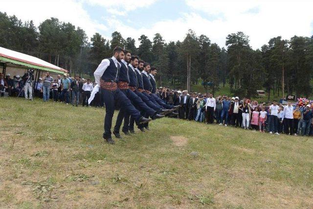 Uluslararası Göle Kültür Ve Kaşar Festivali