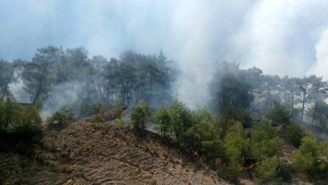 Isparta'da Yolcu Otobüsünde Yangın (2)- Yeniden