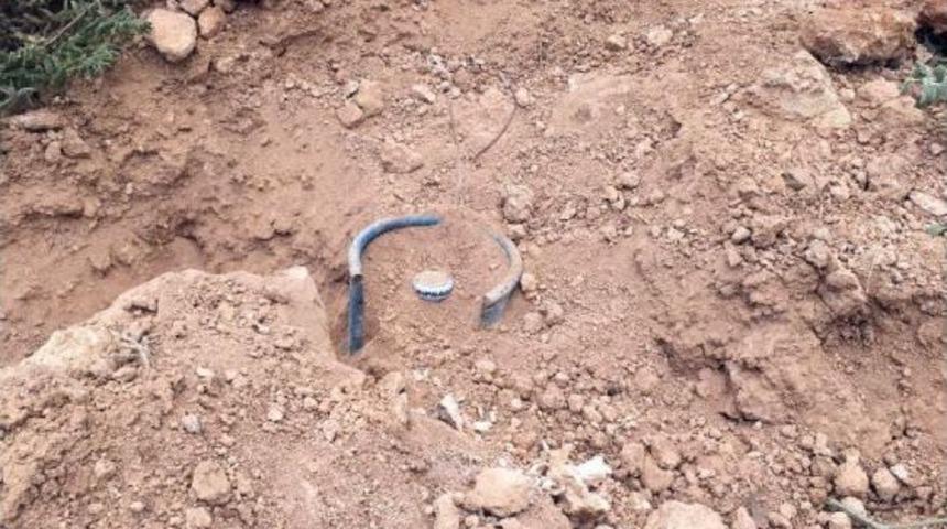 Mardin&rsquo;de Yola Tuzaklanan Eyp İmha Edildi