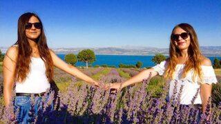 Lisinia'daki Lavanta Bahçelerine Ziyaretçi Akını