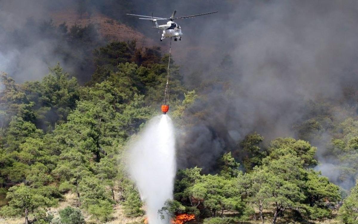 Otob&uuml;sten Ormana Sı&ccedil;rayan Yangın Kontrol Altına Alındı