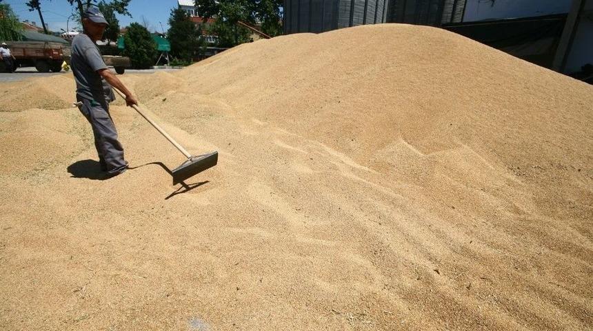 Yenişehir&rsquo;de Buğday Alımı Başladı