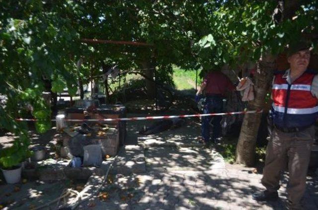 Kayısı Ağacından D&uuml;şerek Yaşamını Yitirdi 1