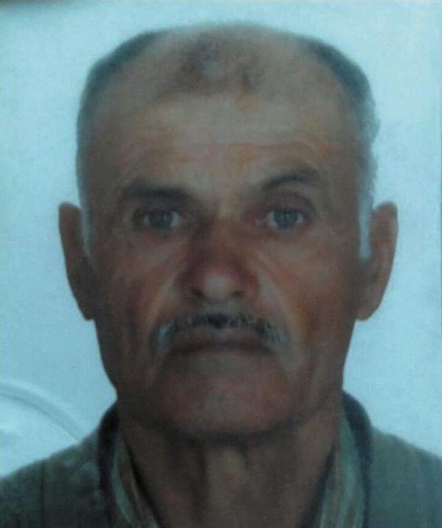 Kayısı Ağacından D&uuml;şerek Yaşamını Yitirdi 2