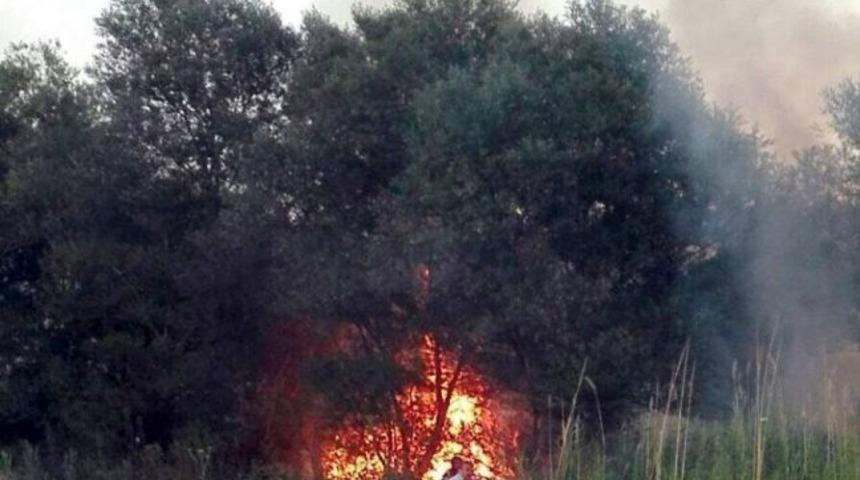 Anız Yangını Ağa&ccedil;ları Ve T&uuml;t&uuml;n Tarlasını Yaktı