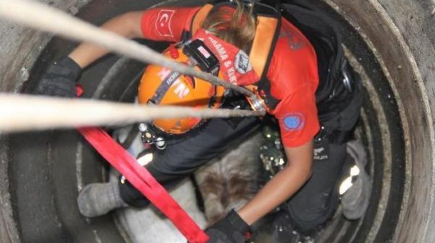 Kuyuya Düşen 2 Keçiyi Nak Kurtardı