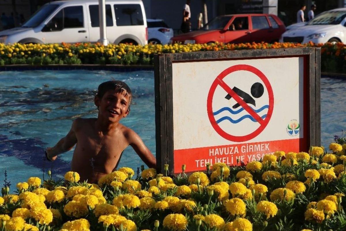 &Ccedil;ocukların Tehlikeli Havuz Macerası