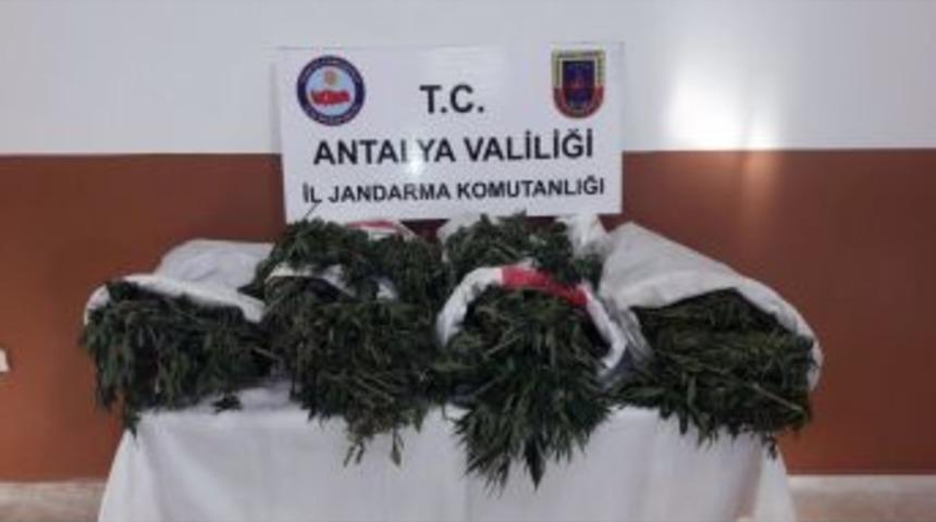 Alanya&rsquo;da 28 Kilo Esrar Ele Ge&ccedil;irildi