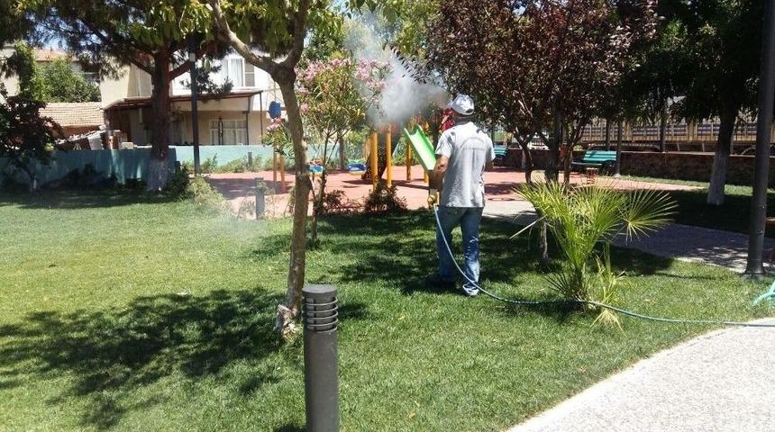 Manisa&rsquo;da Haşereyle M&uuml;cadele Hız Kesmiyor