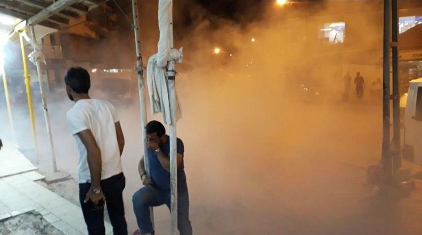 Sivrisineklerle M&uuml;cadelede Ortalığı Gaz Kapladı