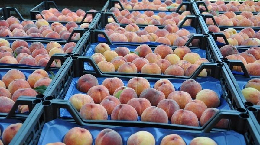 Şeftali &Ccedil;ift&ccedil;iyi Memnun Etmedi