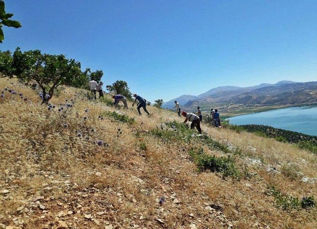 “önce Vatan” Yazısı Yeniden Yazılıyor