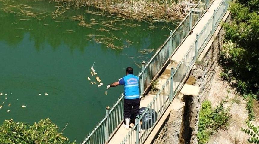 Sokak Hayvanları Ve Yaban Hayatı Unutulmadı