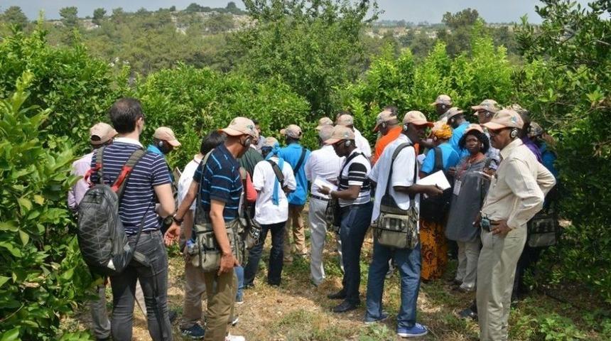 Afrikalı Ormancılara T&uuml;rkiye&rsquo;deki Ormancılık Faaliyetleri Anlatıldı