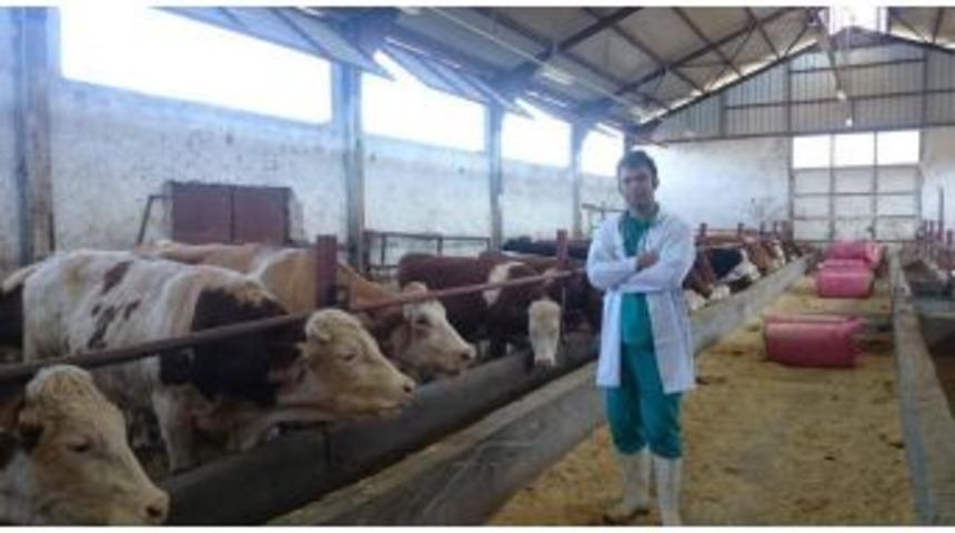 Veteriner Hekim Saydan&rsquo;ın Milli Hayvancılıkla İlgili Araştırması