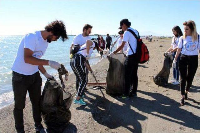 'van Ahbap Platformu'ndan Van Gölü'nde Çevre Temizliği