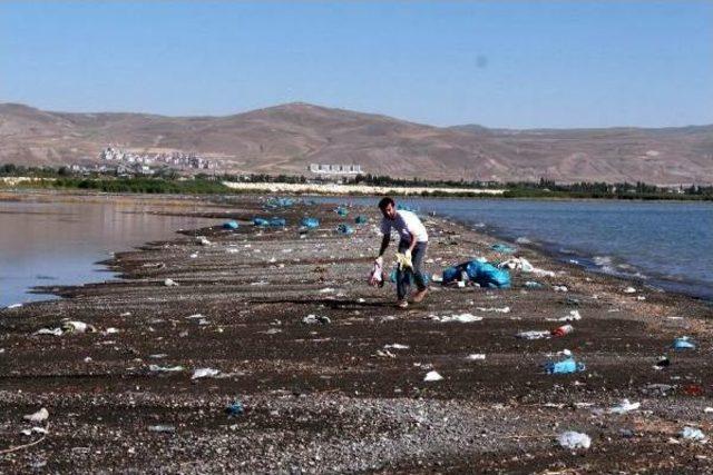 'van Ahbap Platformu'ndan Van Gölü'nde Çevre Temizliği