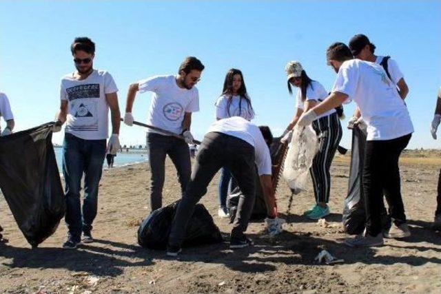 'van Ahbap Platformu'ndan Van Gölü'nde Çevre Temizliği