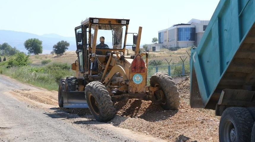 &Uuml;niversite Yoluna Bakım