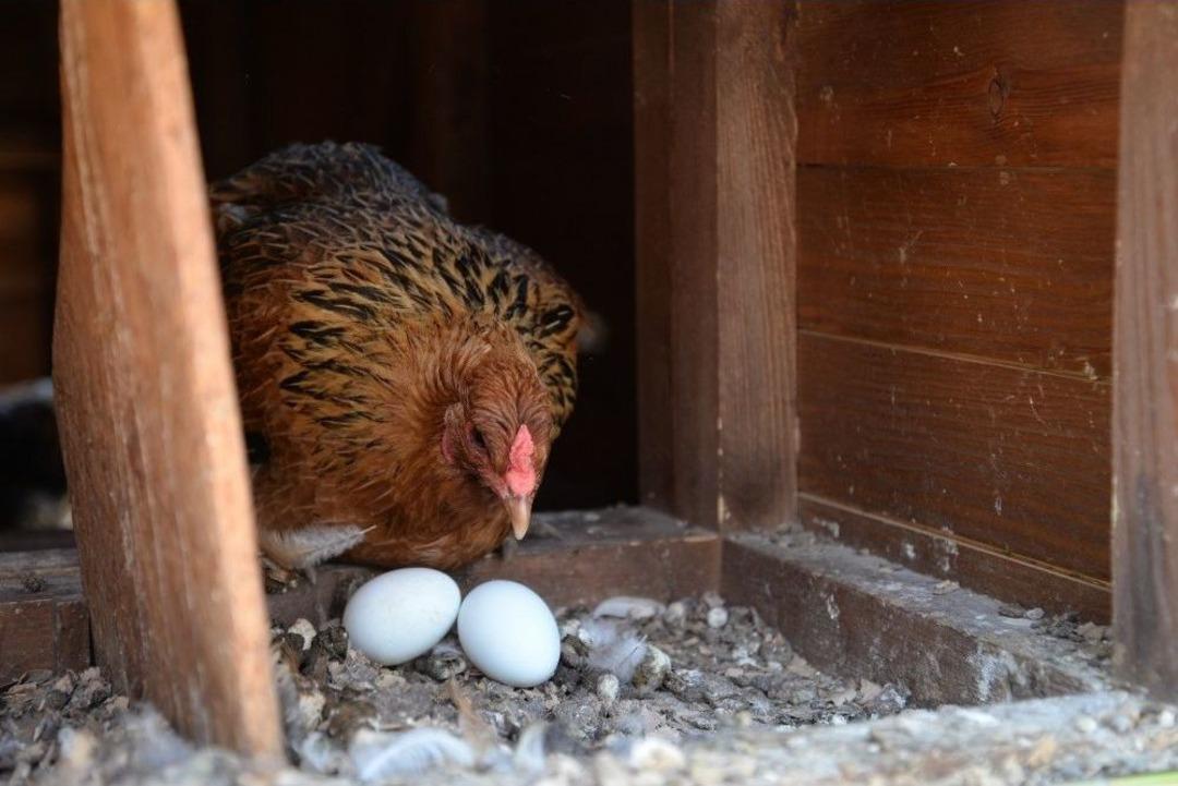 Geleceğin Mesleğine &Ouml;ğrencilerden B&uuml;y&uuml;k İlgi