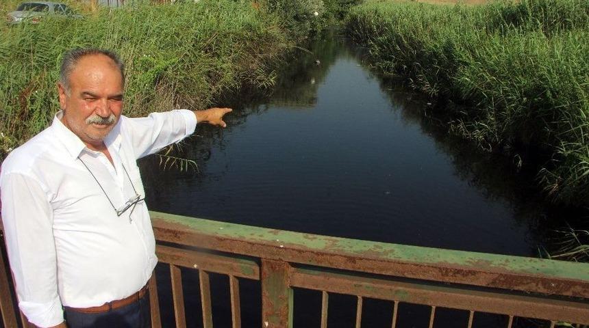 Has Tavuk&rsquo;a B&uuml;y&uuml;k Ceza