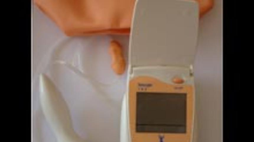 Pelvik Kas &Ccedil;alıştırıcı